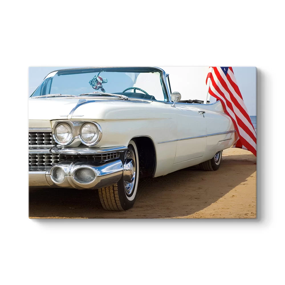 Beyaz Cadillac Tablosu - Model 1